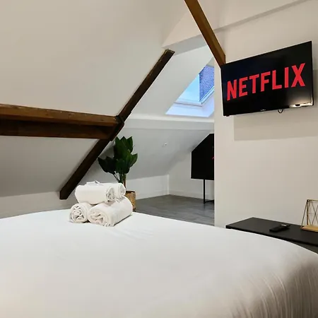 דירה Ng Suitehome - Lille I Centre I College - Netflix - Wifi *